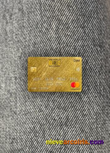 Sri Lanka Bank of Ceylon bank mastercard gold photolook